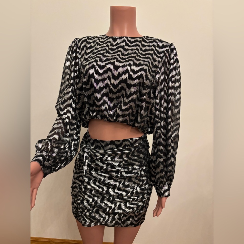 Zara Skirt ONLY